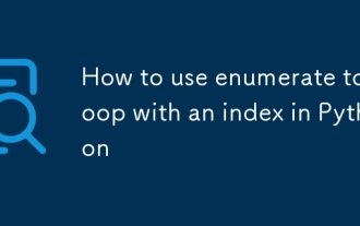 How to use enumerate to loop with an index in Python