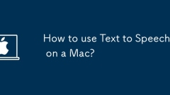 Bagaimana cara menggunakan teks untuk bersuara di Mac?