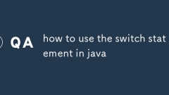 how to use the switch statement in java
