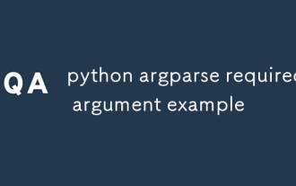 Python Argparseには、引数の例が必要です