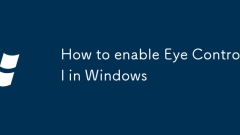 How to enable Eye Control in Windows