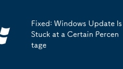 Fixed: Windows Update Is Stuck at a Certain Percentage