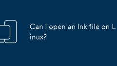 Linux?? LNK ??? ? ? ?????