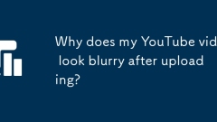 업로드 후 YouTube 비디오가 흐릿 해 보이는 이유는 무엇입니까?