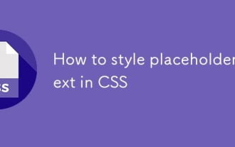 CSS의 자리 표시 자 텍스트 스타일