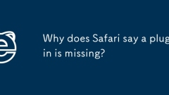 Why does Safari say a plugin is missing?