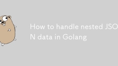 GolangのネストされたJSONデータを処理する方法