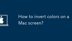 How to invert colors on a Mac screen?