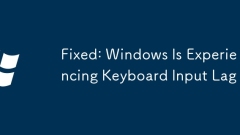Fixed: Windows Is Experiencing Keyboard Input Lag