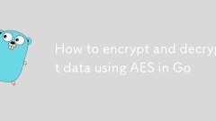 GOでAESを使用してデータを暗号化および復号化する方法