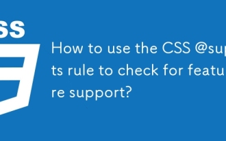 CSS @Supports 규칙을 사용하여 기능 지원을 확인하는 방법은 무엇입니까?