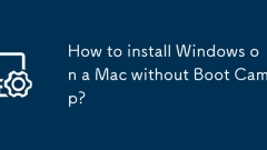 Wie installiere ich Windows auf einem Mac ohne Boot Camp?