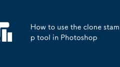 Comment utiliser l'outil de timbre Clone dans Photoshop