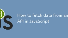 如何從JavaScript中的API獲取數據