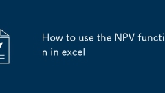 Excel?? NPV ??? ???? ??