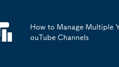 ?? YouTube ??? ???? ??