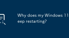为什么我的Windows 11继续重新启动?