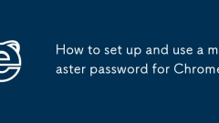 So richten und verwenden Sie ein Master -Passwort für Chrome