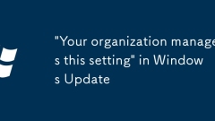 'Your organization manages this setting' in Windows Update