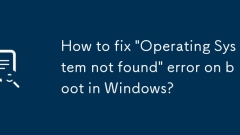 如何修复Windows启动中的'找不到操作系统”错误?