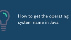 How to get the operating system name in Java