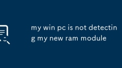 我的Win PC没有检测到我的新RAM模块
