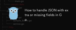 How to handle JSON with extra or missing fields in Go