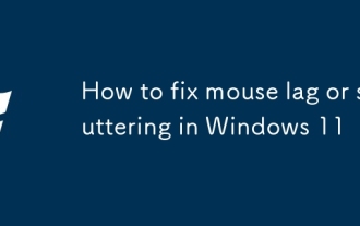 How to fix mouse lag or stuttering in Windows 11