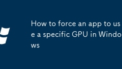 How to force an app to use a specific GPU in Windows