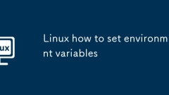 Linux how to set environment variables