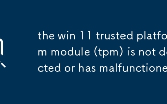 Win 11 Trusted Platformモジュール(TPM)は検出されていないか、誤動作されていません