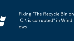 Fixing 'The Recycle Bin on C:\ is corrupted' in Windows