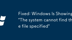 Fixed: Windows Is Showing 'The system cannot find the file specified'