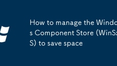 How to manage the Windows Component Store (WinSxS) to save space