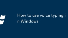 How to use voice typing in Windows