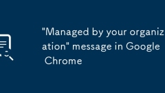 Google Chrome? '??? ?? ??'???
