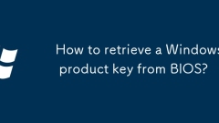 How to retrieve a Windows product key from BIOS?