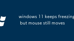 windows 11 keeps freezing but mouse still moves
