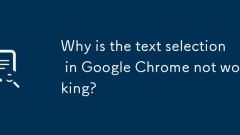 Mengapa pemilihan teks di Google Chrome tidak berfungsi?