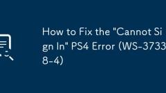 如何修复'不能登录” PS4错误(WS-37338-4)