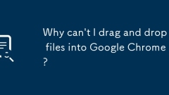 为什么我不能将文件拖放到Google Chrome中?