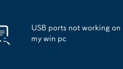 USB 포트는 내 Win PC에서 작동하지 않습니다