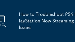 PS4 PlayStation 문제를 해결하는 방법 이제 스트리밍 문제