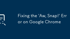Fixation du «aw, snap! Erreur sur Google Chrome