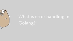 Golang的錯誤處理是什麼?