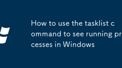 How to use the tasklist command to see running processes in Windows