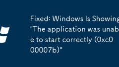 Fixed: Windows Is Showing 'The application was unable to start correctly (0xc000007b)'