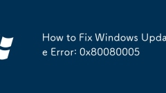 How to Fix Windows Update Error: 0x80080005