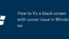 How to fix a black screen with cursor issue in Windows