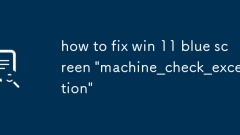 So beheben Sie Win 11 Blue Screen 'machine_check_exception'